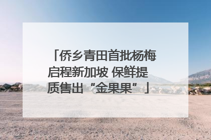 侨乡青田首批杨梅启程新加坡 保鲜提质售出“金果果”