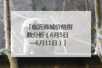 临沂商城价格指数分析（6月5日—6月11日）