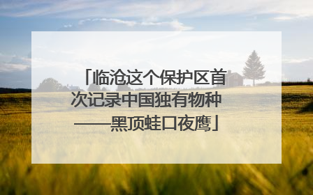 临沧这个保护区首次记录中国独有物种——黑顶蛙口夜鹰