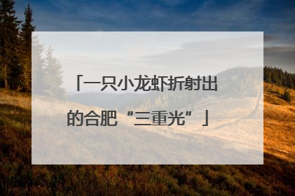 一只小龙虾折射出的合肥“三重光”