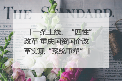 一条主线、“四性”改革 重庆国资国企改革实现“系统重塑”