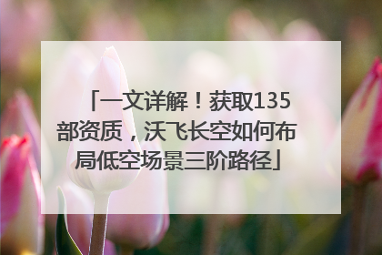 一文详解！获取135部资质，沃飞长空如何布局低空场景三阶路径