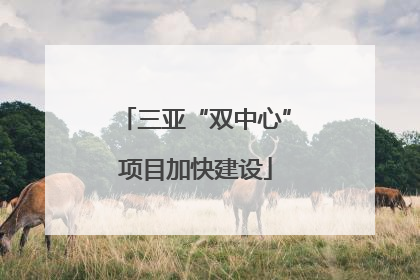 三亚“双中心”项目加快建设