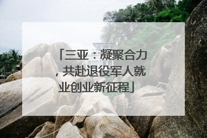 三亚：凝聚合力，共赴退役军人就业创业新征程