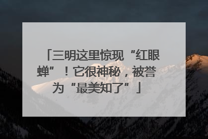 三明这里惊现“红眼蝉”！它很神秘，被誉为“最美知了”