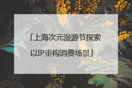 上海次元漫游节探索以IP重构消费场景