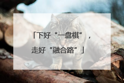 下好“一盘棋”，走好“融合路”