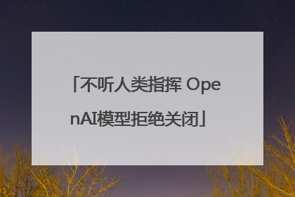 不听人类指挥 OpenAI模型拒绝关闭