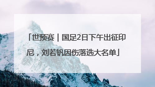 世预赛｜国足2日下午出征印尼，刘若钒因伤落选大名单
