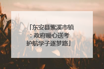 东安县紫溪市镇：政府暖心送考 护航学子逐梦路