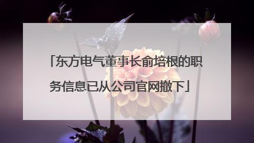 东方电气董事长俞培根的职务信息已从公司官网撤下