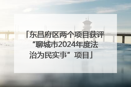 东昌府区两个项目获评“聊城市2024年度法治为民实事”项目