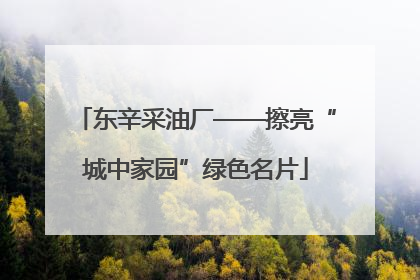 东辛采油厂——擦亮“城中家园”绿色名片