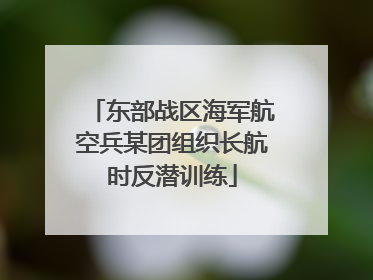 东部战区海军航空兵某团组织长航时反潜训练