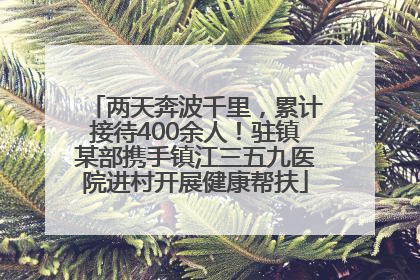 两天奔波千里，累计接待400余人！驻镇某部携手镇江三五九医院进村开展健康帮扶