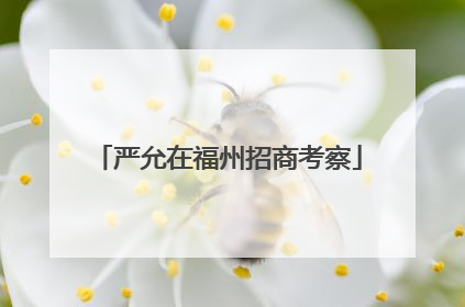 严允在福州招商考察