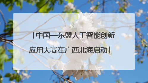 中国—东盟人工智能创新应用大赛在广西北海启动