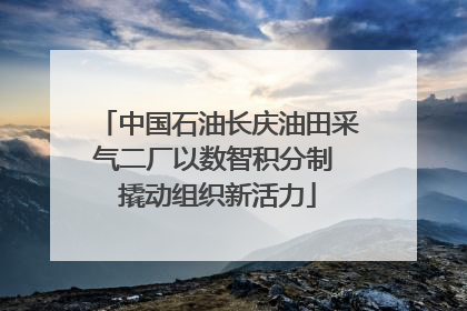 中国石油长庆油田采气二厂以数智积分制 撬动组织新活力