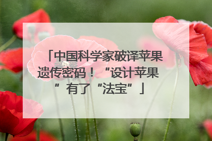 中国科学家破译苹果遗传密码！“设计苹果”有了“法宝”