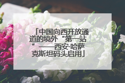 中国向西开放通道的境外“第一站”——西安·哈萨克斯坦码头启用