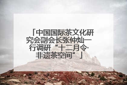 中国国际茶文化研究会副会长张仲灿一行调研“十二月令·非遗茶空间”