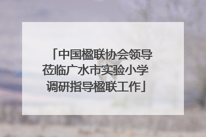 中国楹联协会领导莅临广水市实验小学调研指导楹联工作