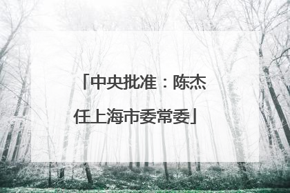 中央批准：陈杰任上海市委常委