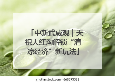 中新武威观｜天祝大红沟解锁“清凉经济”新玩法