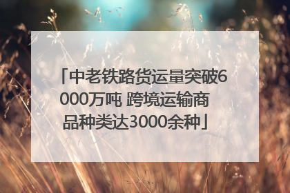 中老铁路货运量突破6000万吨 跨境运输商品种类达3000余种