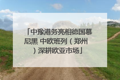 中豫港务亮相德国慕尼黑 中欧班列（郑州）深耕欧亚市场
