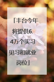 丰台今年将提供6.4万个实习见习和就业岗位