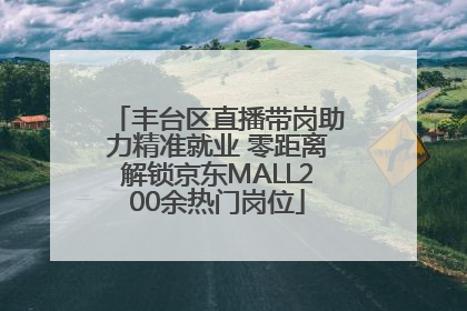 丰台区直播带岗助力精准就业 零距离解锁京东MALL200余热门岗位