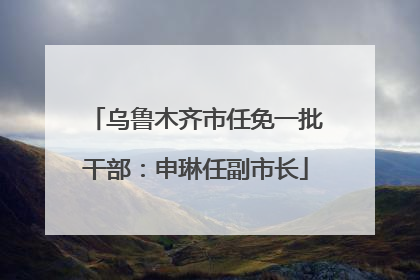 乌鲁木齐市任免一批干部：申琳任副市长