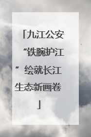 九江公安“铁腕护江”绘就长江生态新画卷