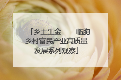 乡土生金——临朐乡村富民产业高质量发展系列观察