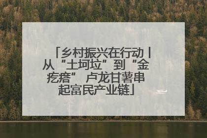 乡村振兴在行动丨从“土坷垃”到“金疙瘩” 卢龙甘薯串起富民产业链