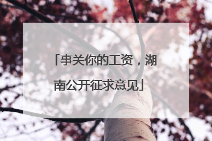 事关你的工资，湖南公开征求意见
