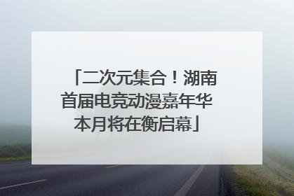 二次元集合！湖南首届电竞动漫嘉年华本月将在衡启幕