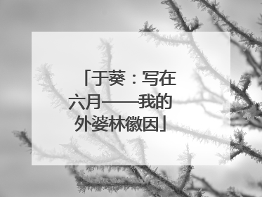 于葵：写在六月——我的外婆林徽因