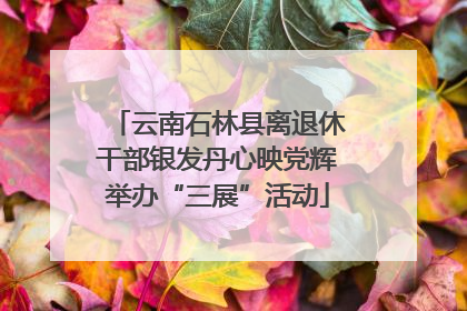 云南石林县离退休干部银发丹心映党辉举办“三展”活动