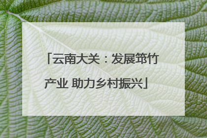 云南大关：发展筇竹产业 助力乡村振兴