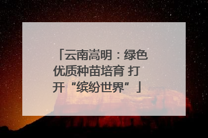 云南嵩明：绿色优质种苗培育 打开“缤纷世界”