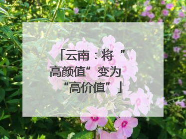 云南：将“高颜值”变为“高价值”