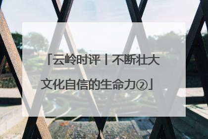 云岭时评丨不断壮大文化自信的生命力②