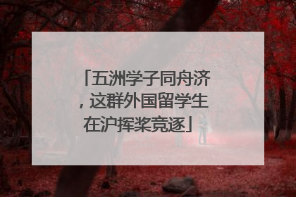 五洲学子同舟济，这群外国留学生在沪挥桨竞逐
