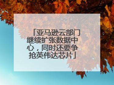 亚马逊云部门继续扩张数据中心，同时还要争抢英伟达芯片