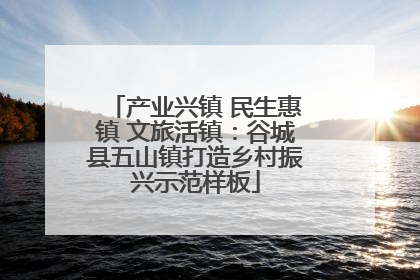 产业兴镇 民生惠镇 文旅活镇：谷城县五山镇打造乡村振兴示范样板