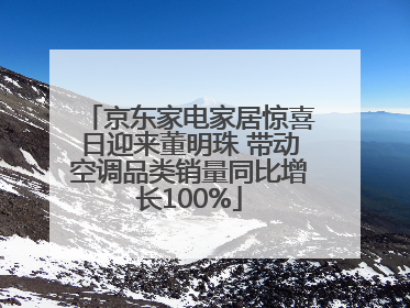 京东家电家居惊喜日迎来董明珠 带动空调品类销量同比增长100%