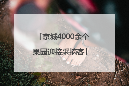 京城4000余个果园迎接采摘客