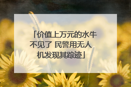 价值上万元的水牛不见了 民警用无人机发现其踪迹